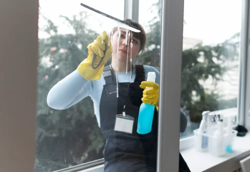 Nettoyage de vitres intérieures et extérieures à Frampas